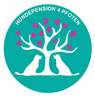 Hundepension 4 Pfoten